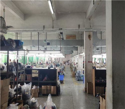 福州市厂房承重检测鉴定单位 —— 专业技术服务保障工业安全，新闻联播关注质量监管