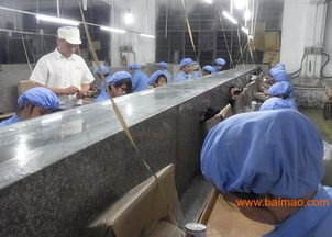 加工PVC玩具塑胶公仔，首选东莞鸿博 品质、价格、服务一站式解决方案