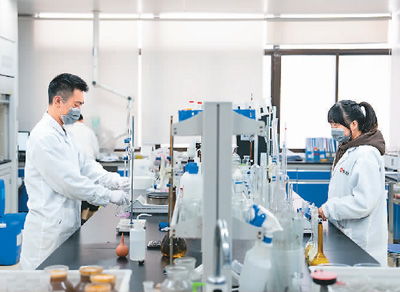 技术服务 数字时代中的视觉叙事与创新支持